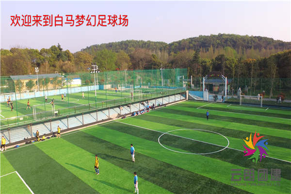 南京趣味運動會有哪些場地？
