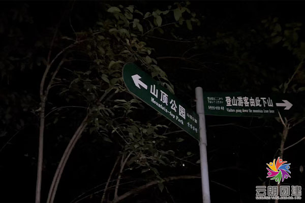 南京團(tuán)建紫金山登山攻略